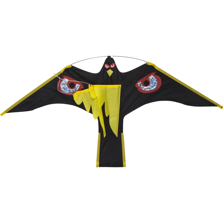 Måkejager - Drage/hauk