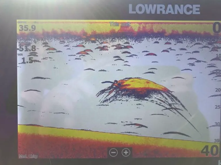 Simrad hekkmontert svinger TM150M 300W