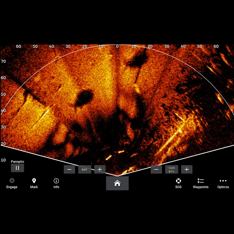 Garmin LiveScope™ Plus LVS34 giver
