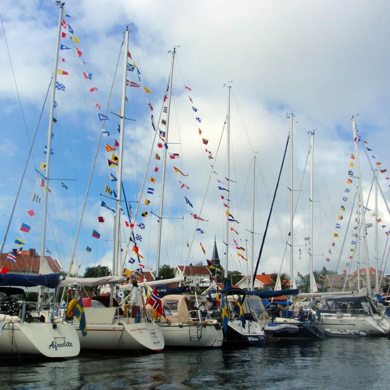 Signalflagg 55x40 cm 40Stk