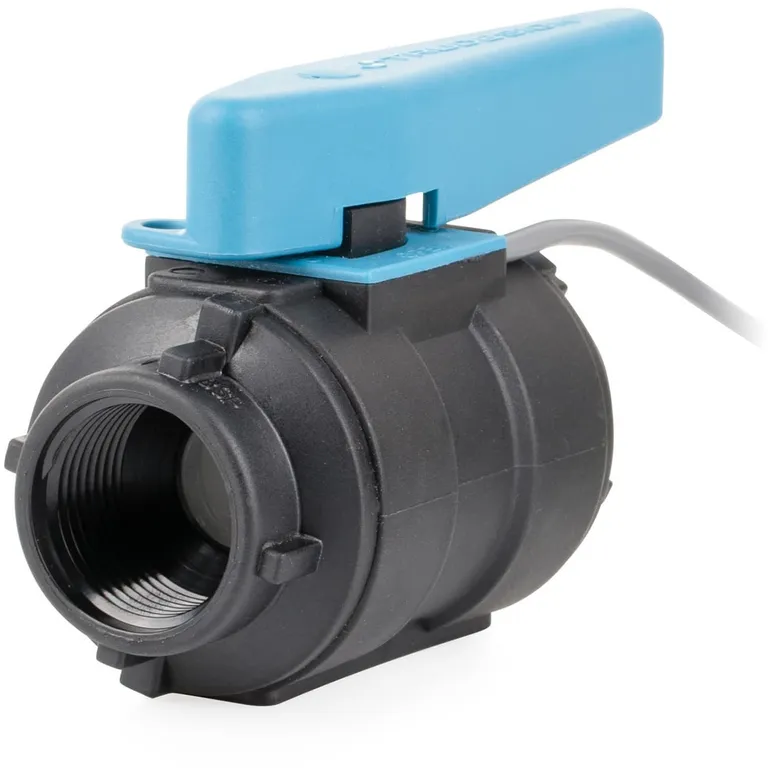 Trudesign Kuleventil BSP 2" (50mm) med overvåking