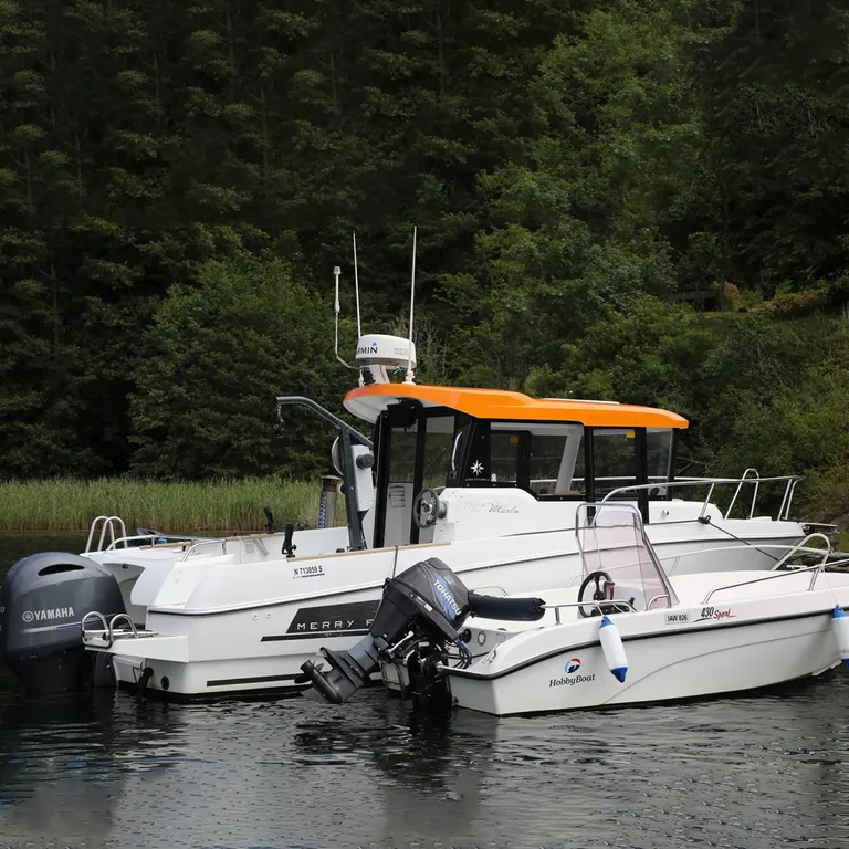 Smartliner Pro 300 Teinehaler 50kg 12V